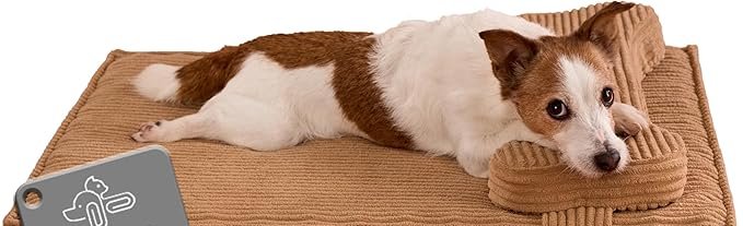 71kqg9+w0il. ac sx679 