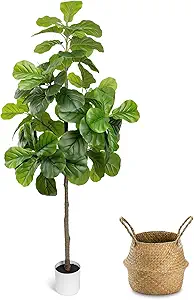 71lpmckynhl. ac sy300 sx300 ql70 fmwebp 