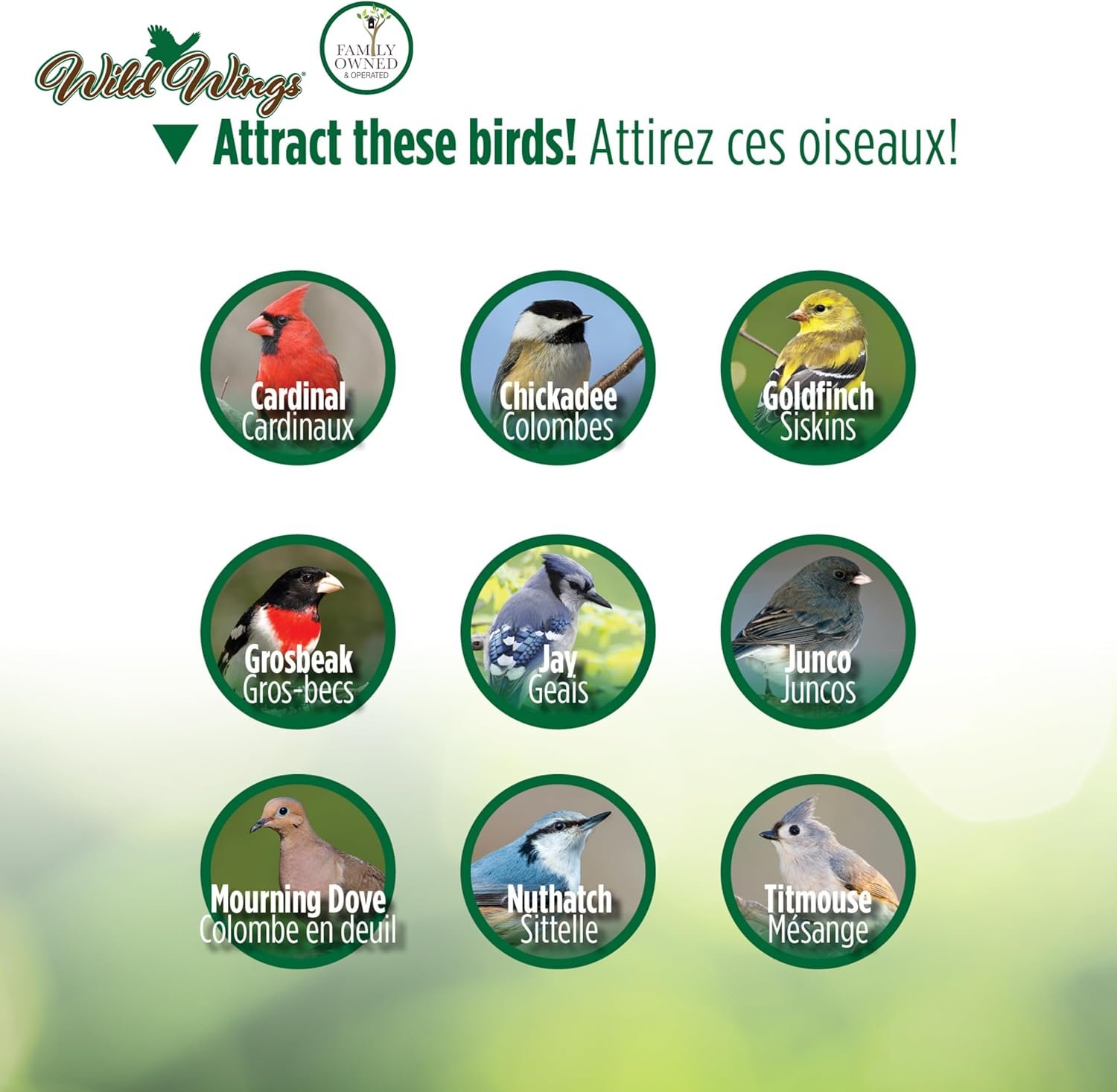 wild wings wwcf23 rot resistant cedar hanging tray bird feeder with fresh seed tray, platform feeder for outdoor wild bird seed feeder and décor, wood wild wings wwcf23 rot resistant cedar hanging tray bird feeder with fresh seed tray, platform feeder for outdoor wild bird seed feeder and décor, wood