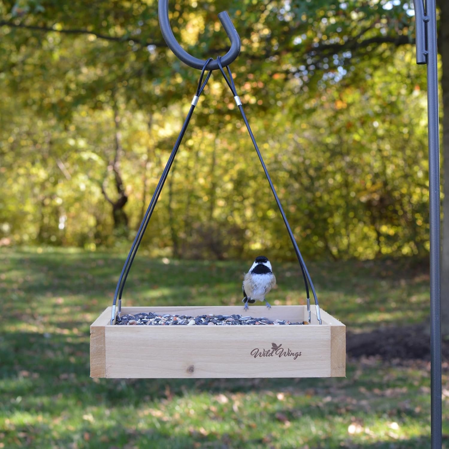 wild wings wwcf23 rot resistant cedar hanging tray bird feeder with fresh seed tray, platform feeder for outdoor wild bird seed feeder and décor, wood wild wings wwcf23 rot resistant cedar hanging tray bird feeder with fresh seed tray, platform feeder for outdoor wild bird seed feeder and décor, wood